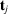 [{\bf t}_{j}]