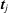 [{\bi t}_{j}]