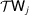 [{\cal T}\hbox{\sf W}_{j}]