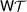 [\hbox{\sf W}{\cal T}]