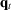 [{\bf q}_{t}]