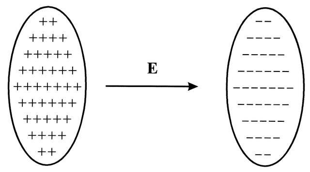 [Figure 1.1.4.1]
