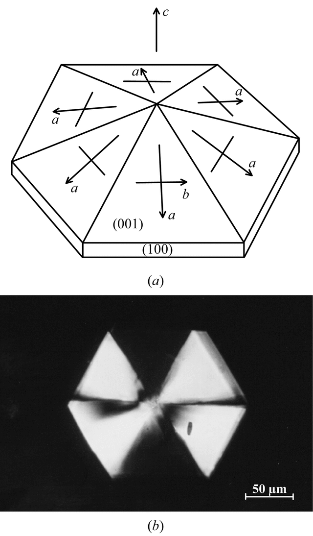 (International Tables For Crystallography) Twinning Of Crystals