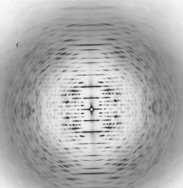 [Figure 19.5.8.1]