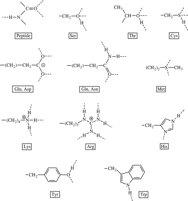 (International Tables for Crystallography) Hydrogen bonding in ...