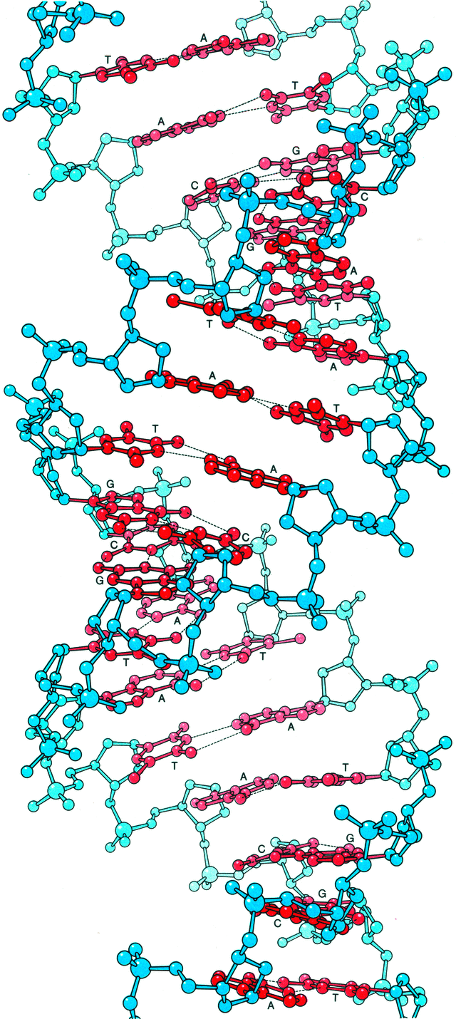 [Figure 23.3.1.2]