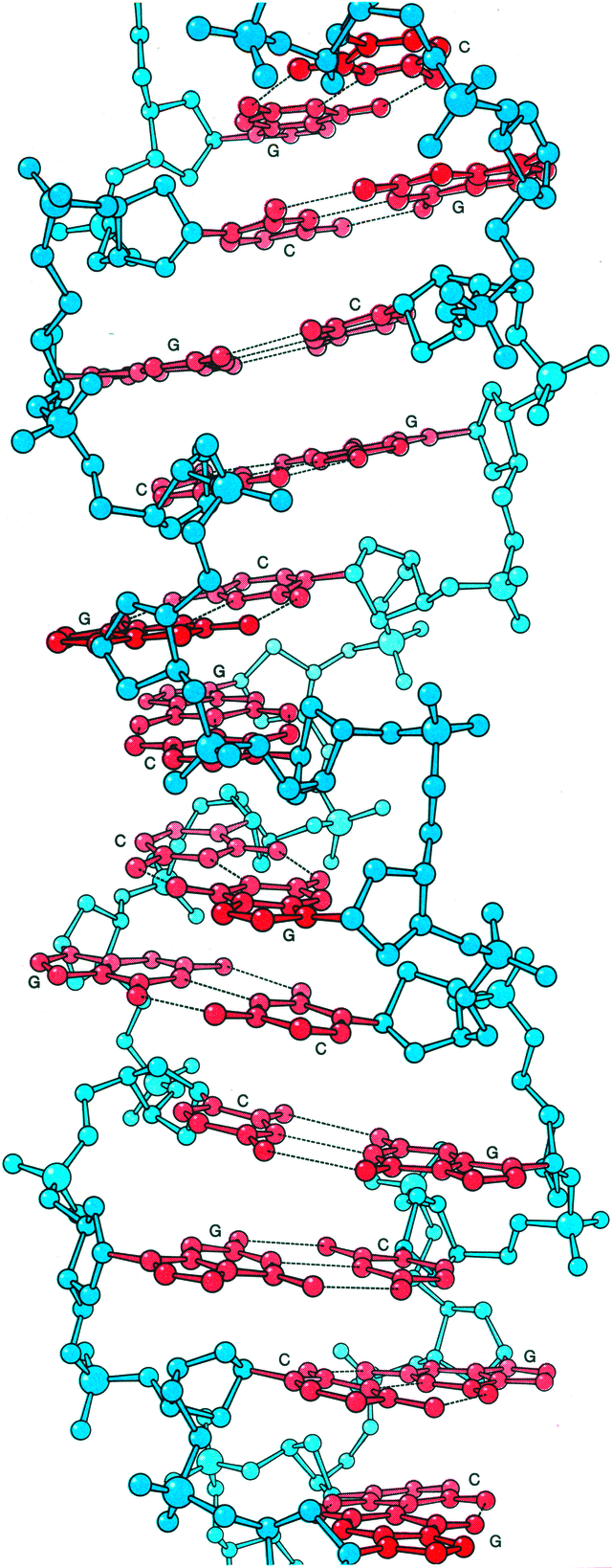 [Figure 23.3.1.4]