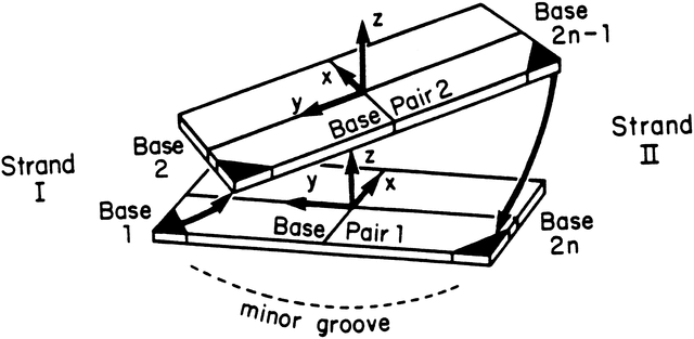 [Figure 23.3.2.10]