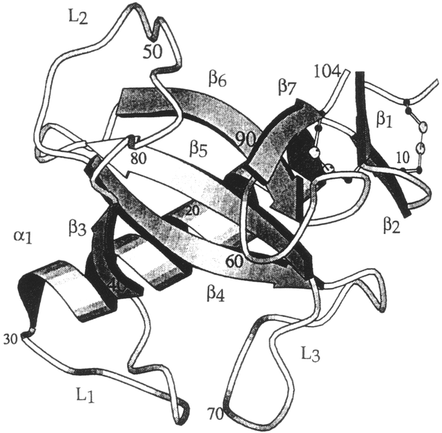 [Figure 23.4.4.10]