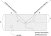 [Figure 1]